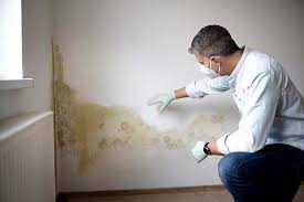 Biohazard Mold Removal in Athena, OR